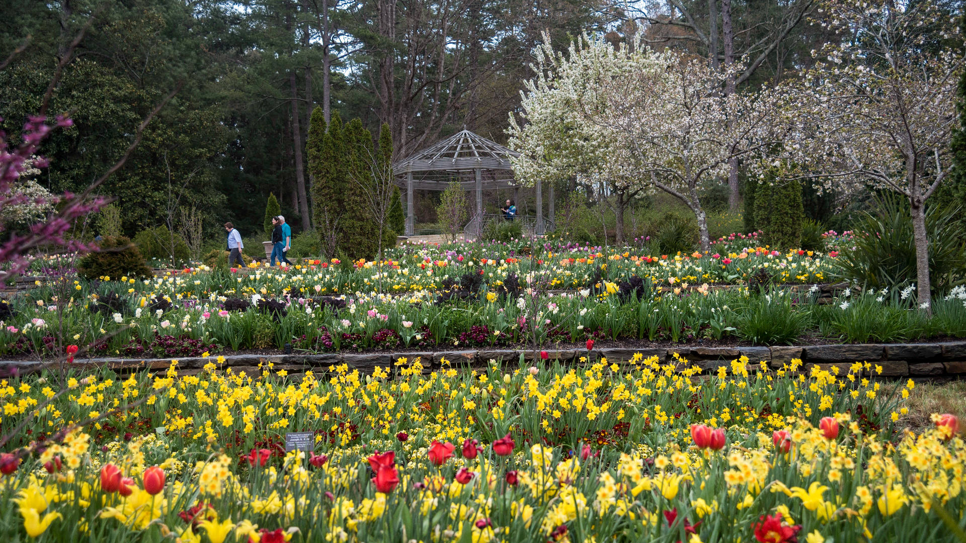 Северная Каролина Ботанический сад