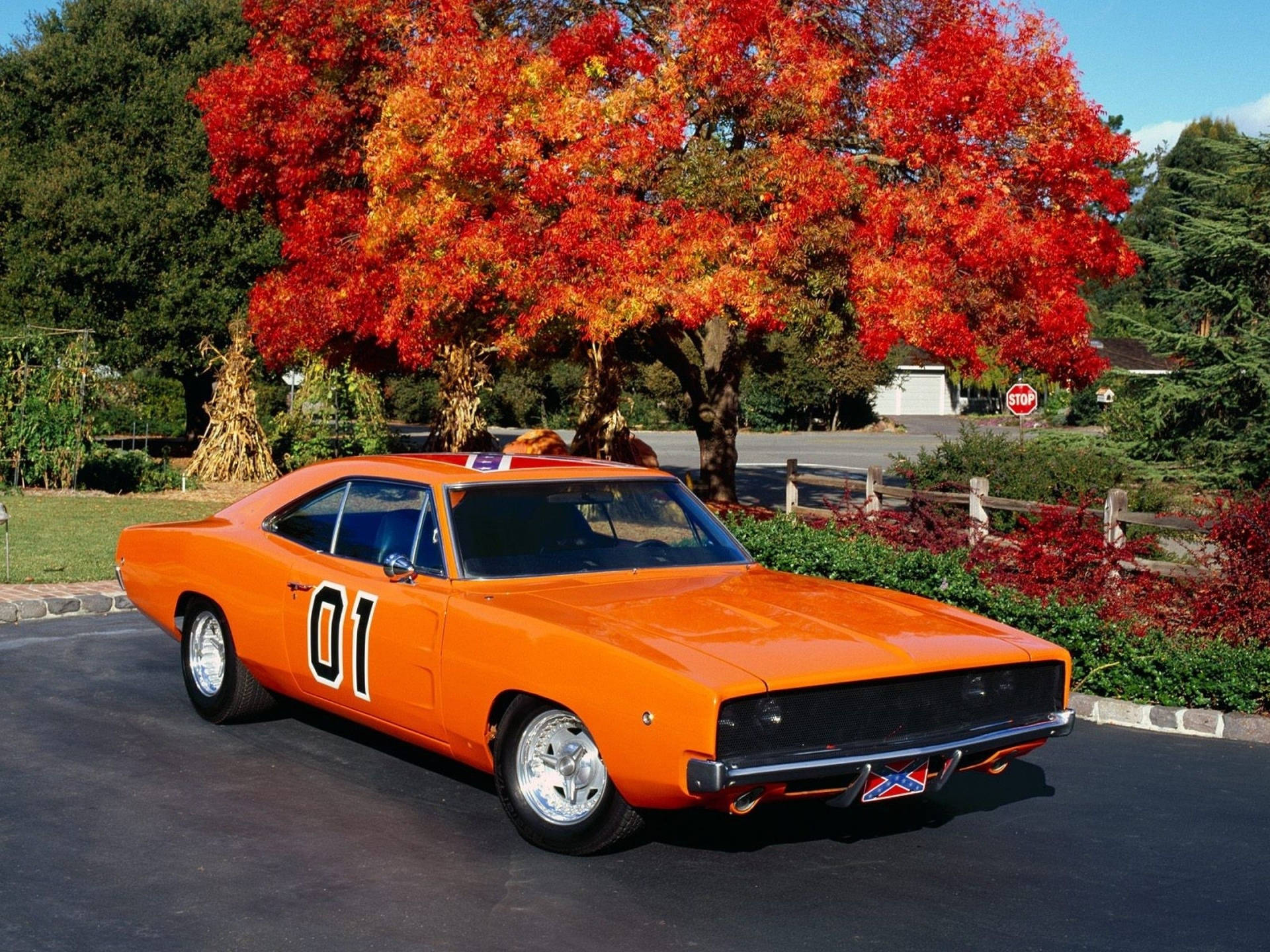 An Orange Dodge Charger Parked In Front Of A Tree Wallpaper