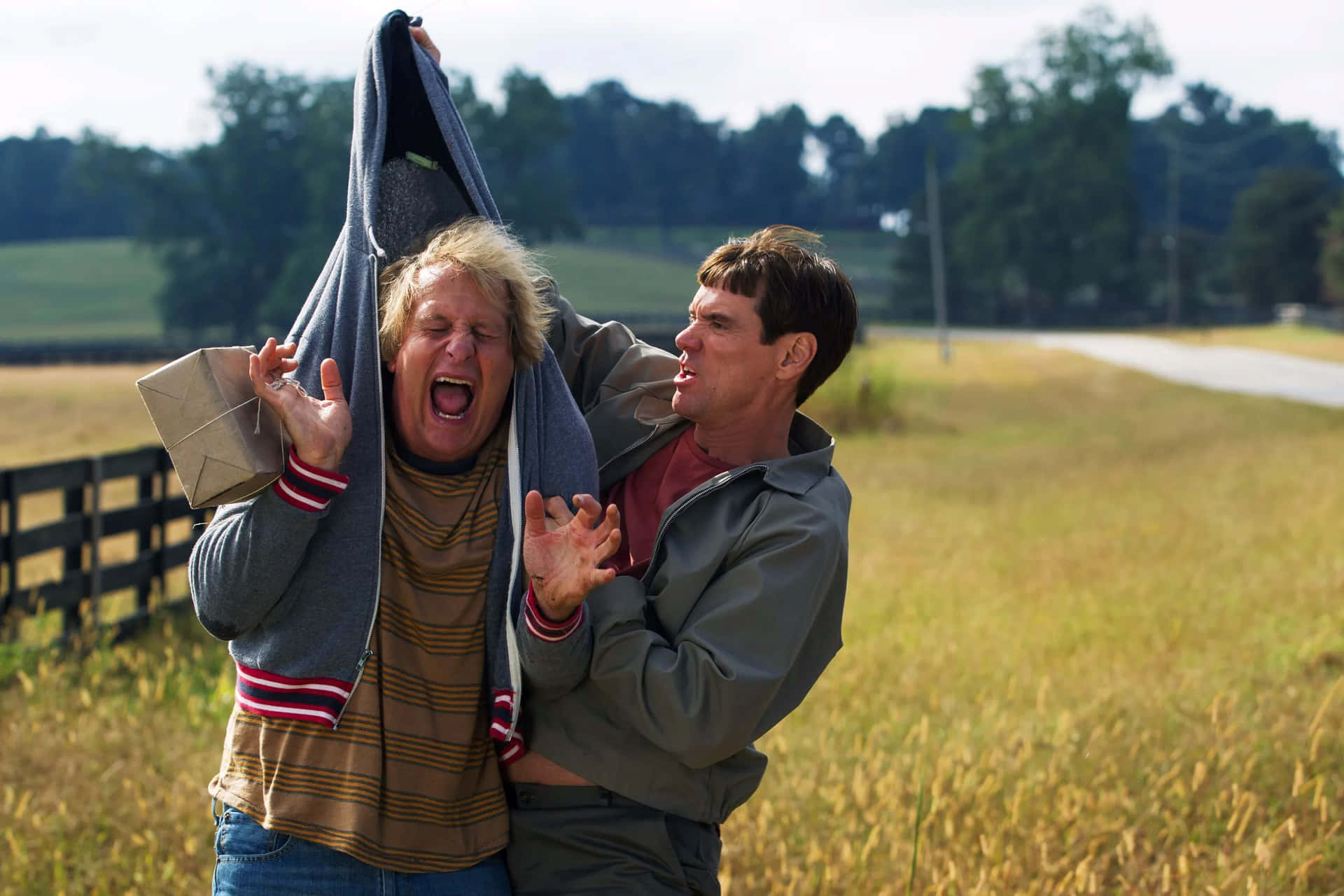 Dumb And Dumber Komische Strijd Achtergrond