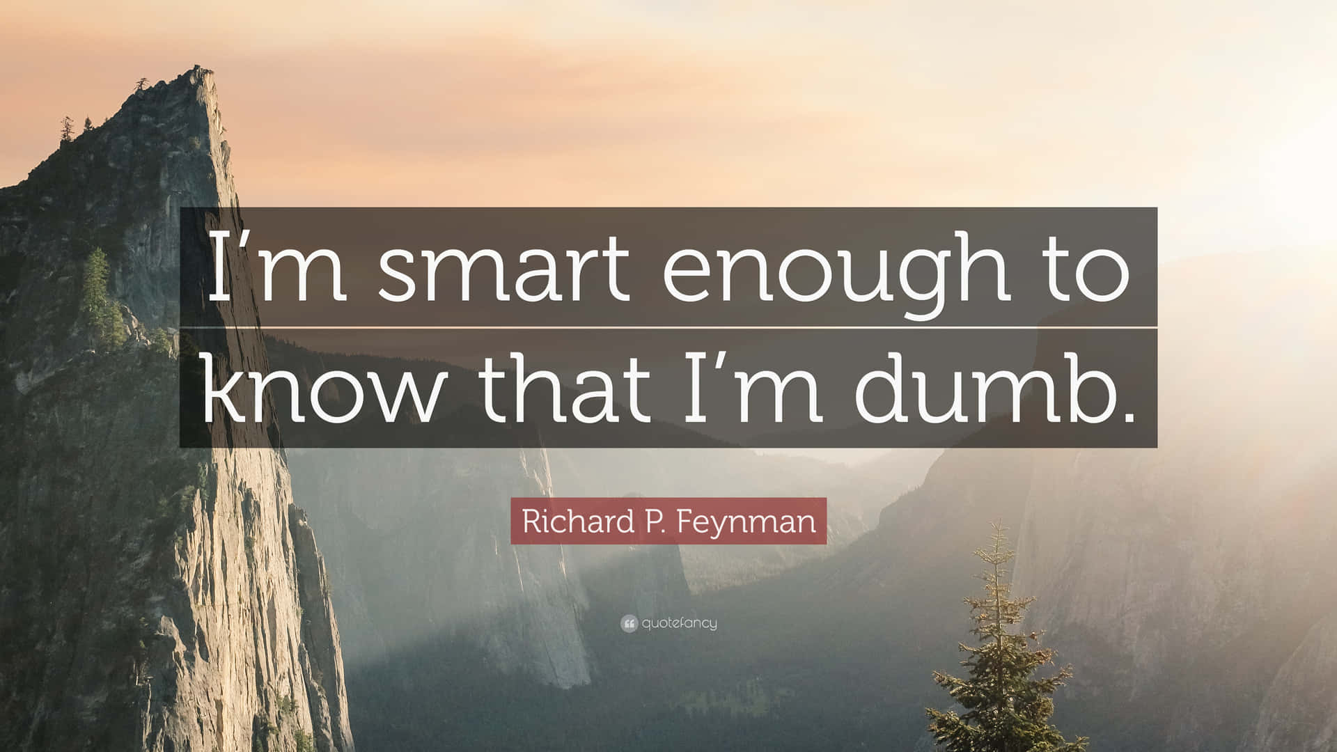 I'm Smart Enough To Know That I'm Dumb