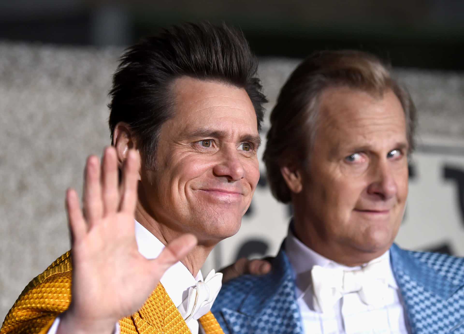 Dumband Dumber Acteurs Rode Loper Achtergrond