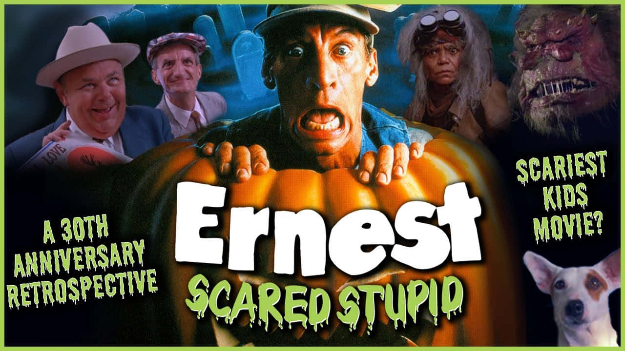 Ernest dumme billeder dækker en pink baggrund.