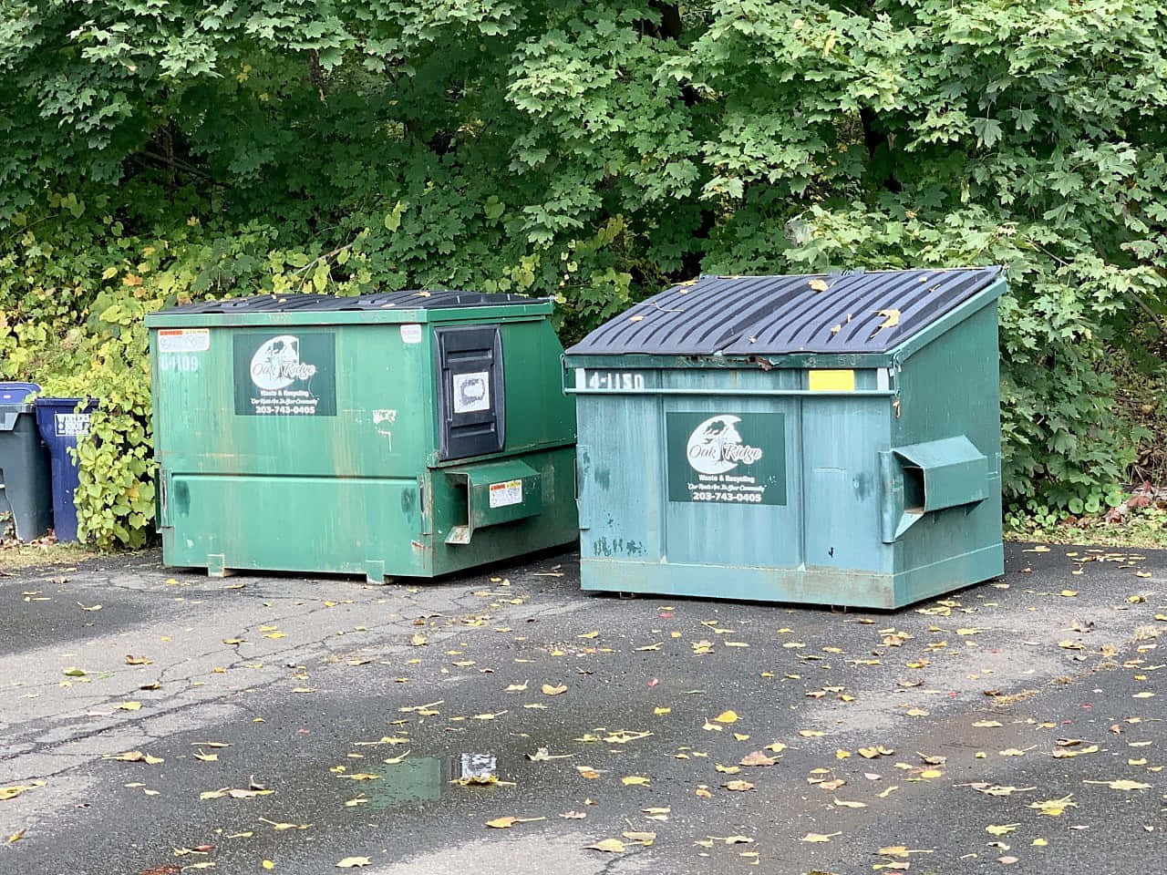 Two Green Trash Bins Sitting On The Side Of The Road
