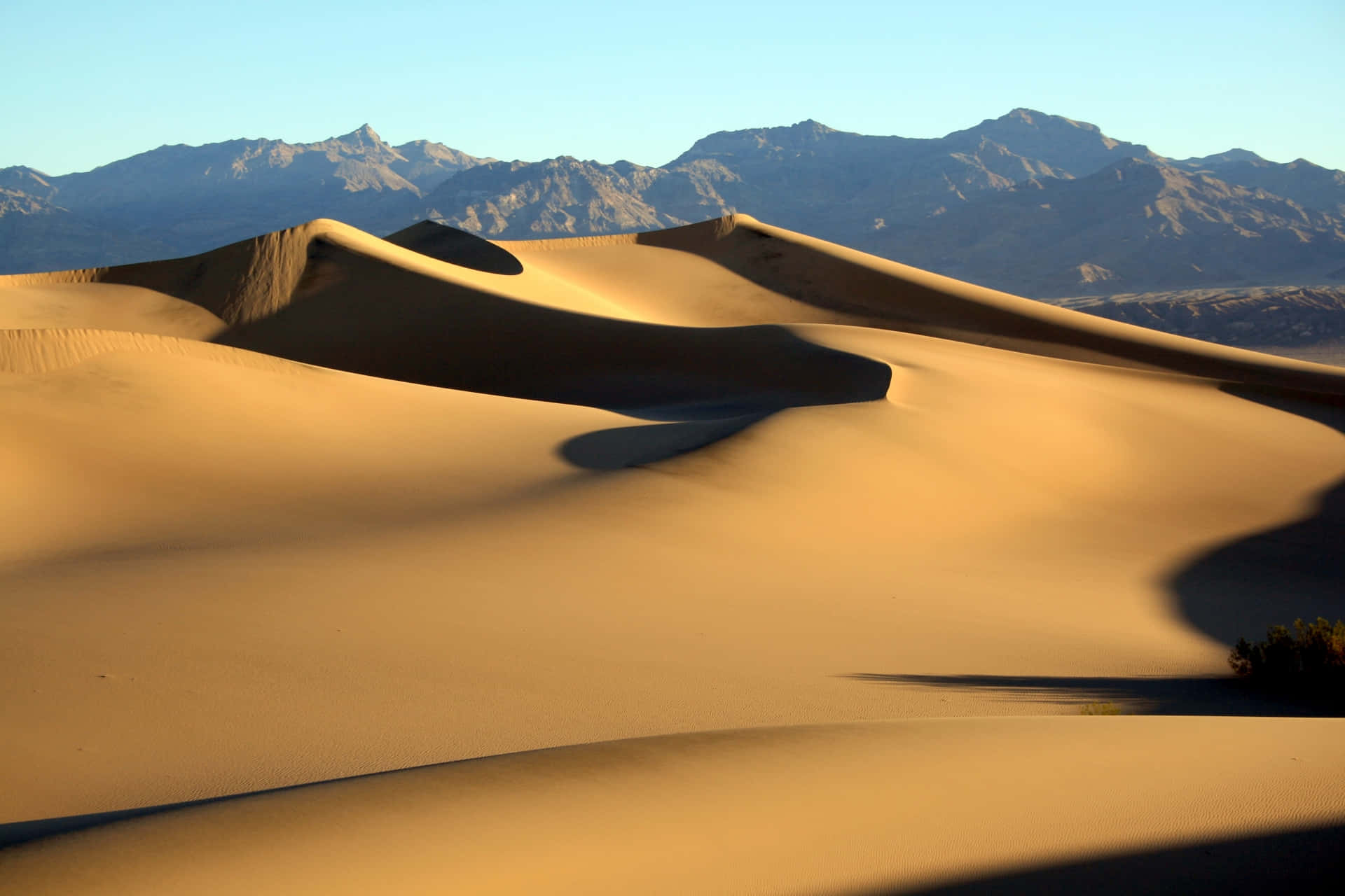 A stunning view of the sand dunes of Arrakis.