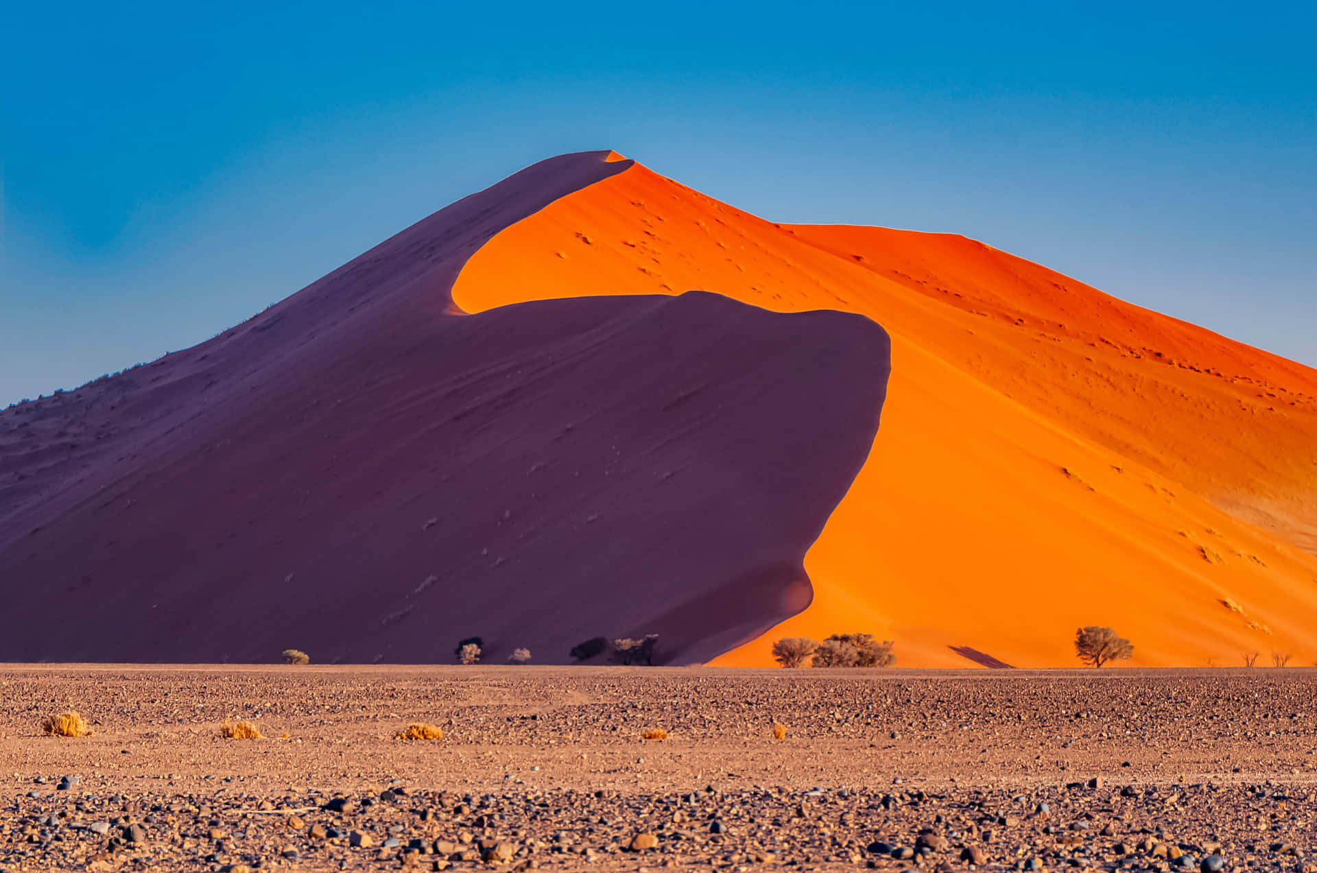 Förundradig Över Den Häpnadsväckande Skönheten I En Sanddyne-öken.