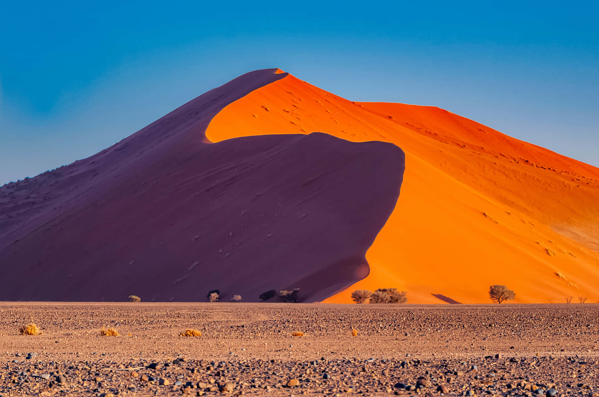 Oplevden Åndeløse Skønhed Af En Dune Ørkenlandskab.