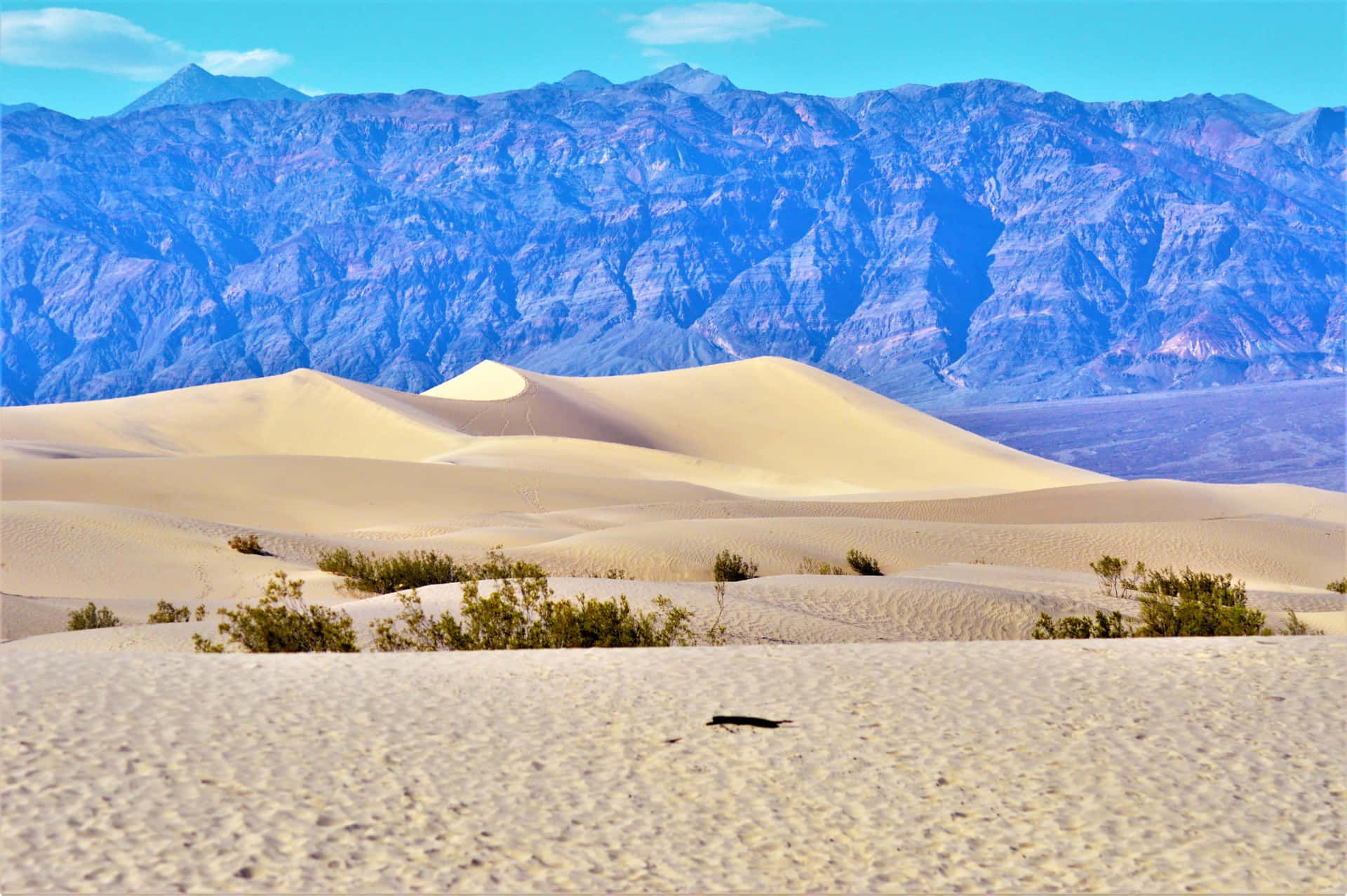 "The beauty and infinite potential of the vast desert known as the Dune"