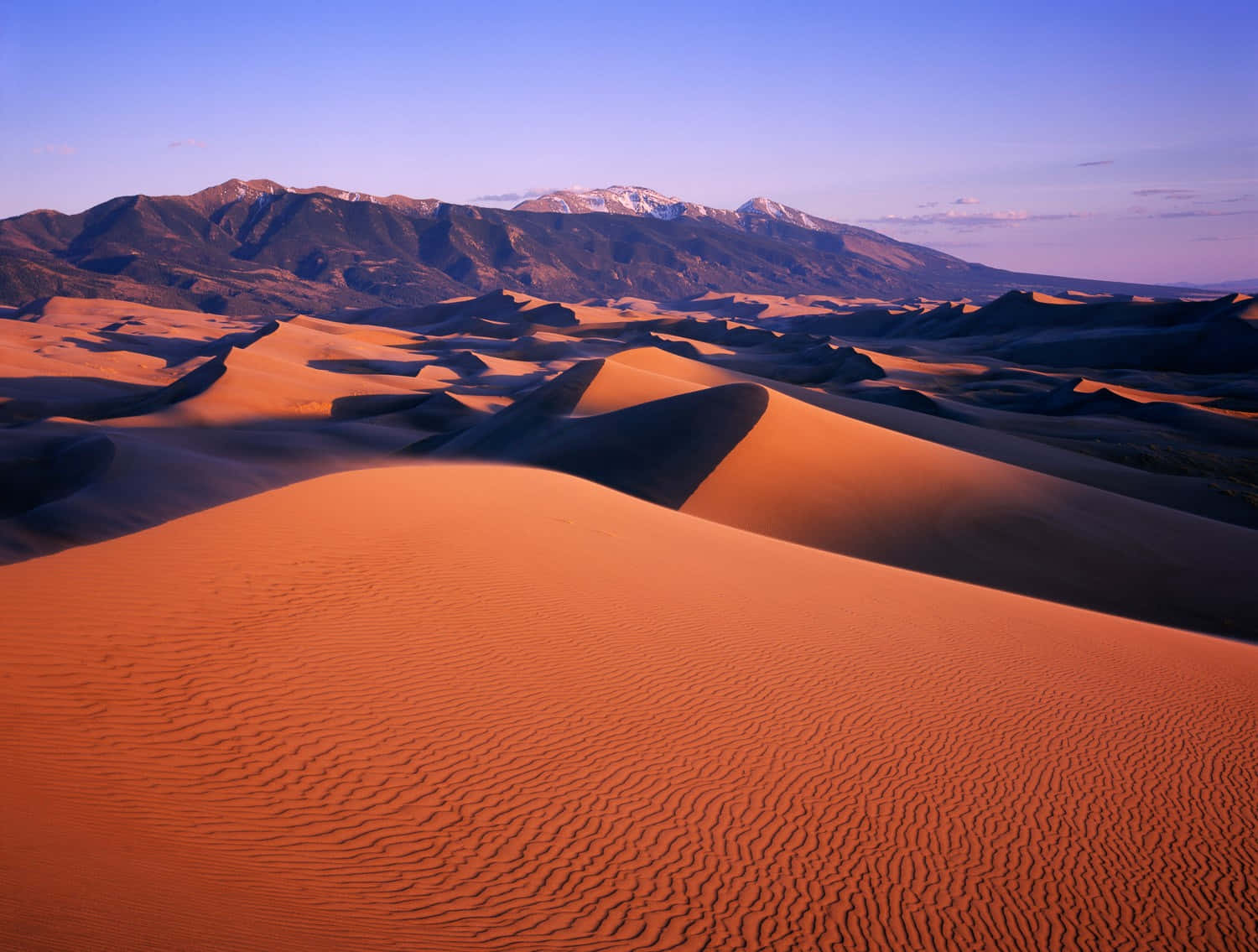 Sienteel Poder Del Desierto En El Adorado Épico De Ciencia Ficción Dune.