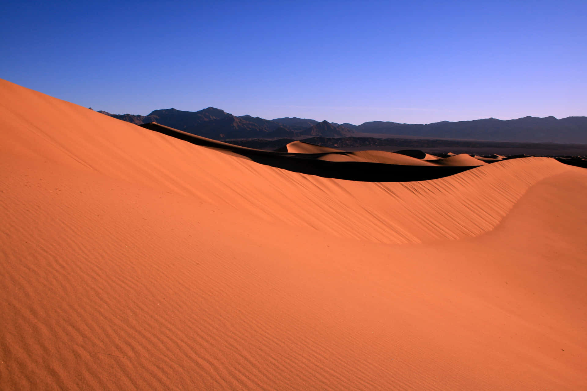 Einblick Auf Die Sande Von Dune