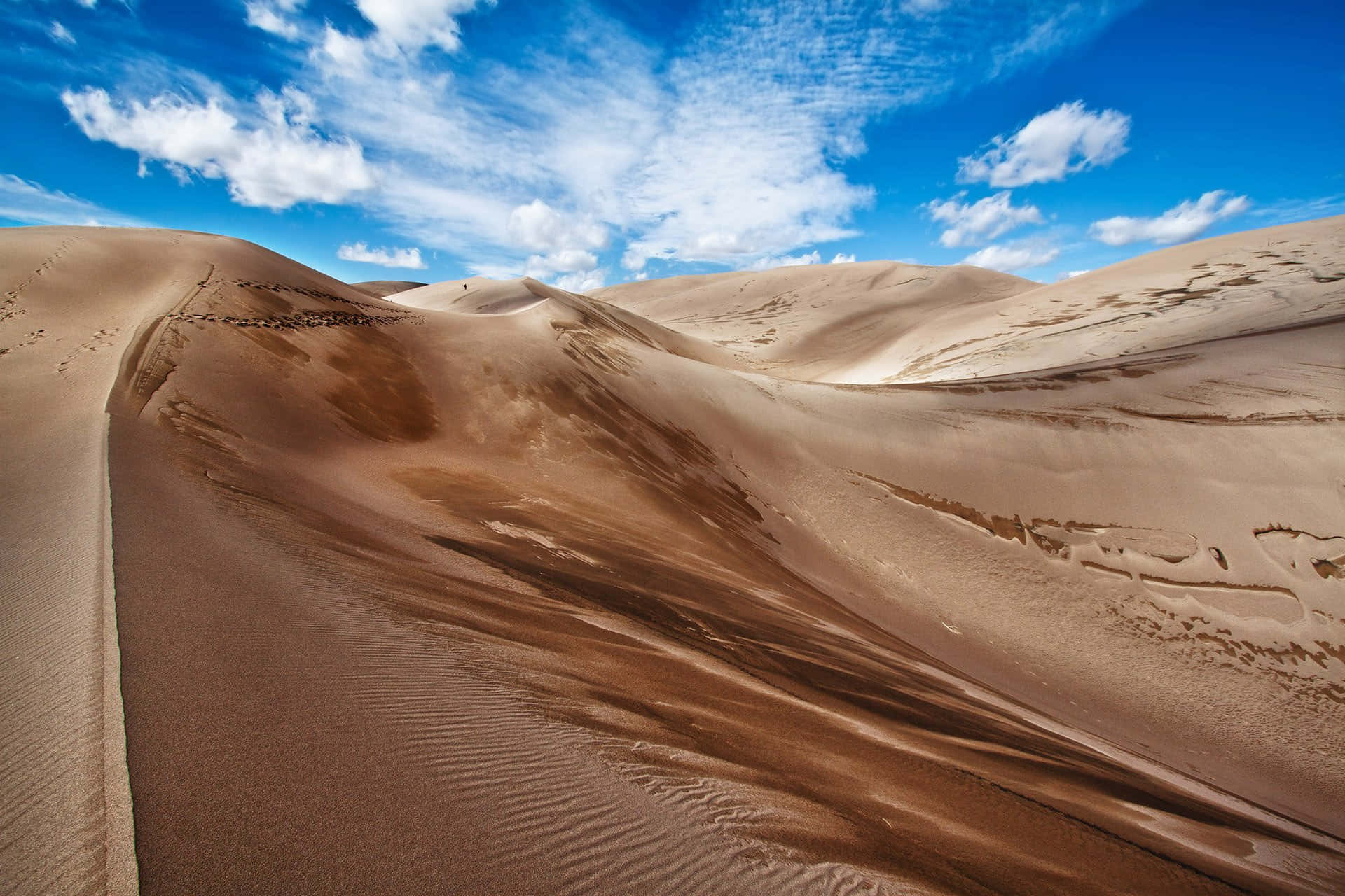 Upplevkraften I Sanden Med Dune
