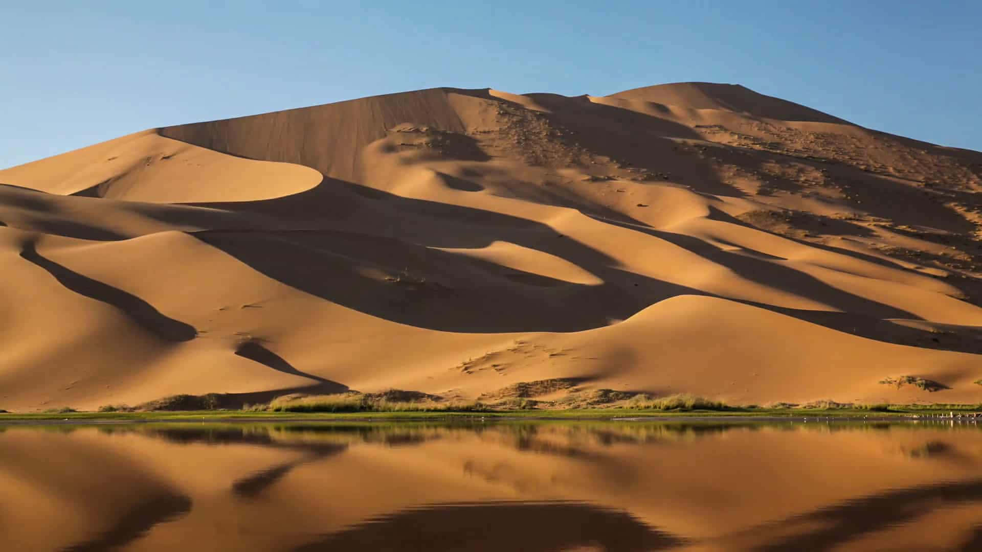 Dekreative Sande Af Dune
