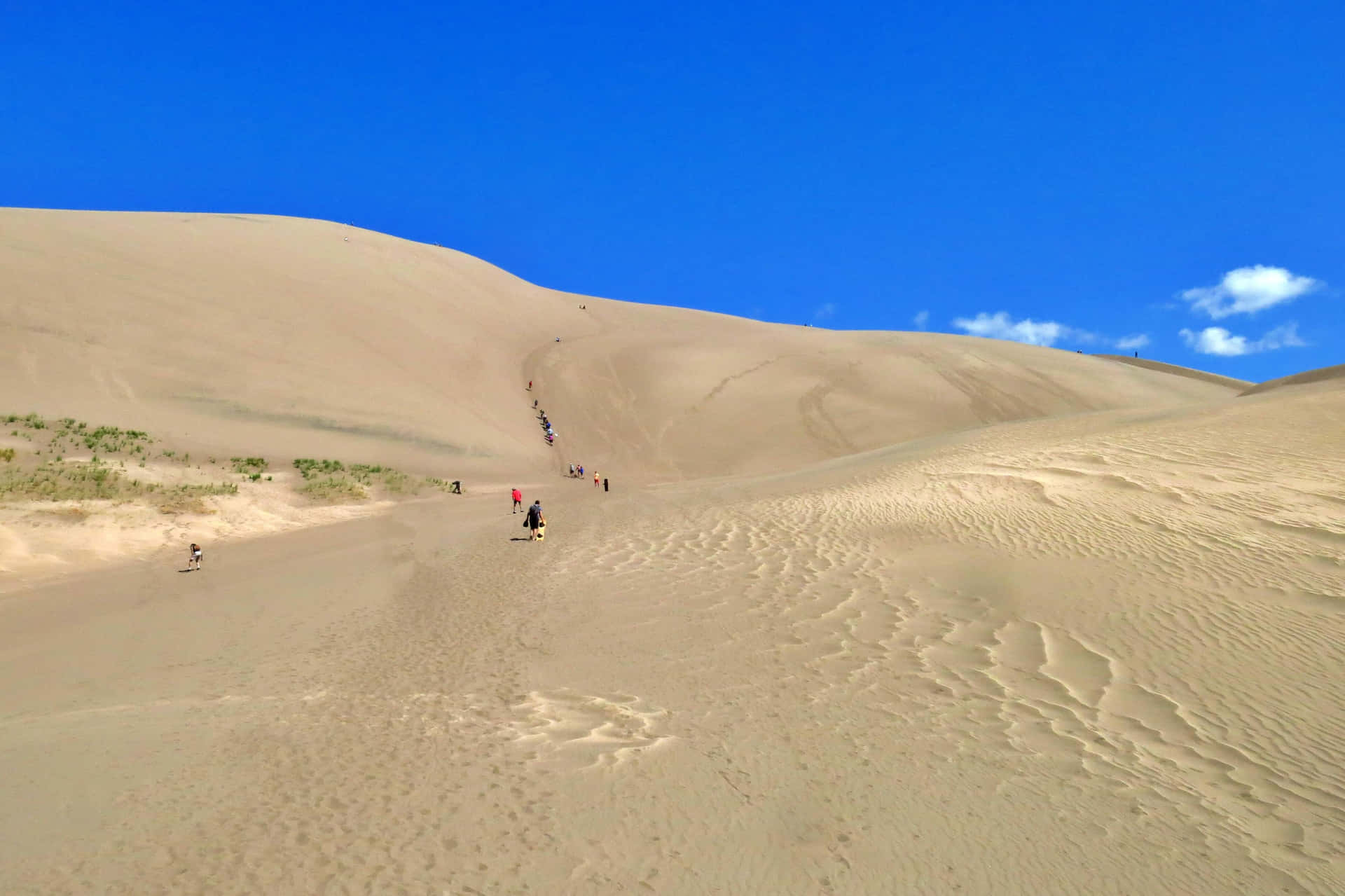 Menschen,die Auf Einer Sanddüne In Der Wüste Spazieren Gehen.