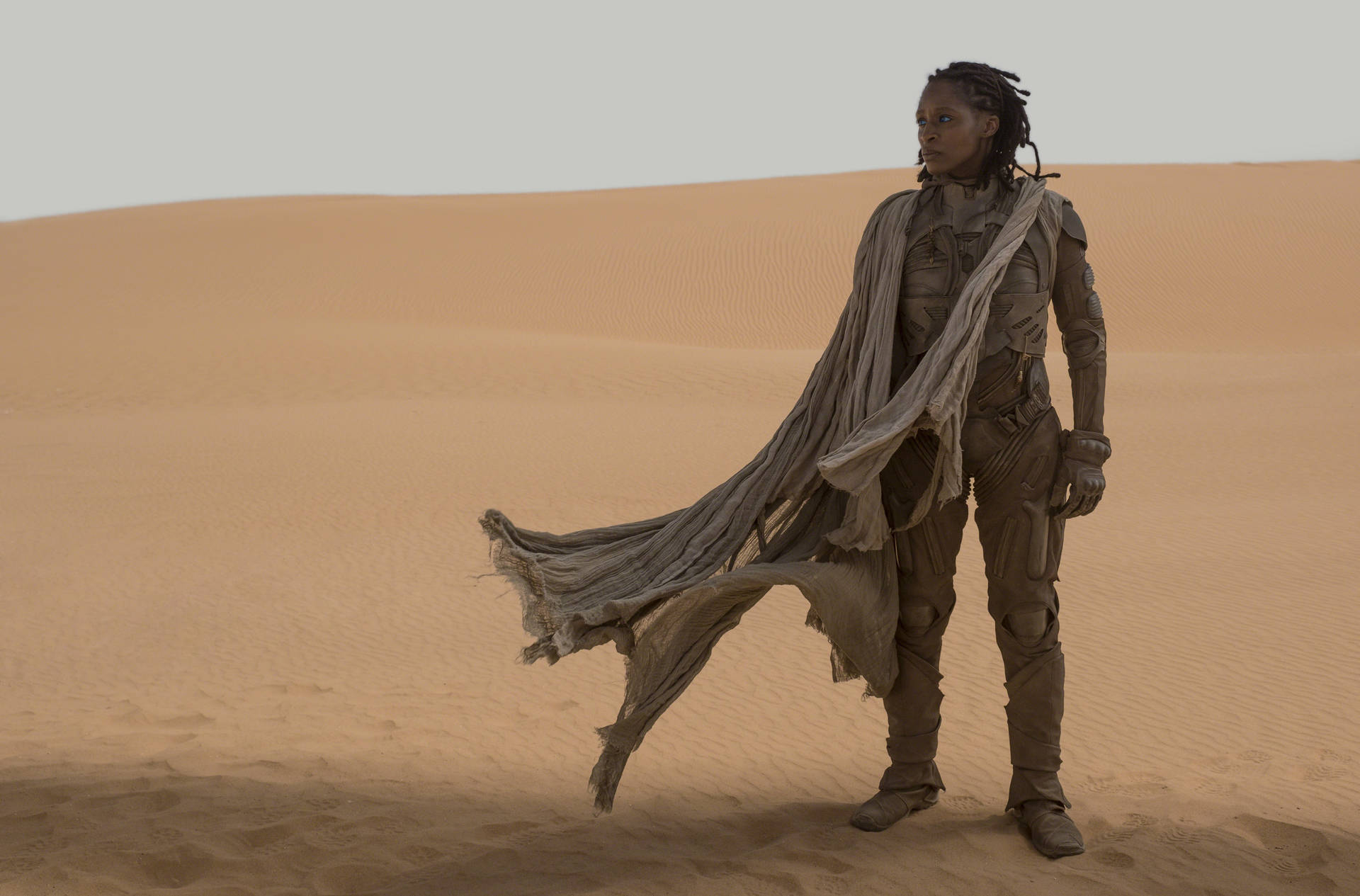 Dune Movie Liet-kynes In Desert Wallpaper