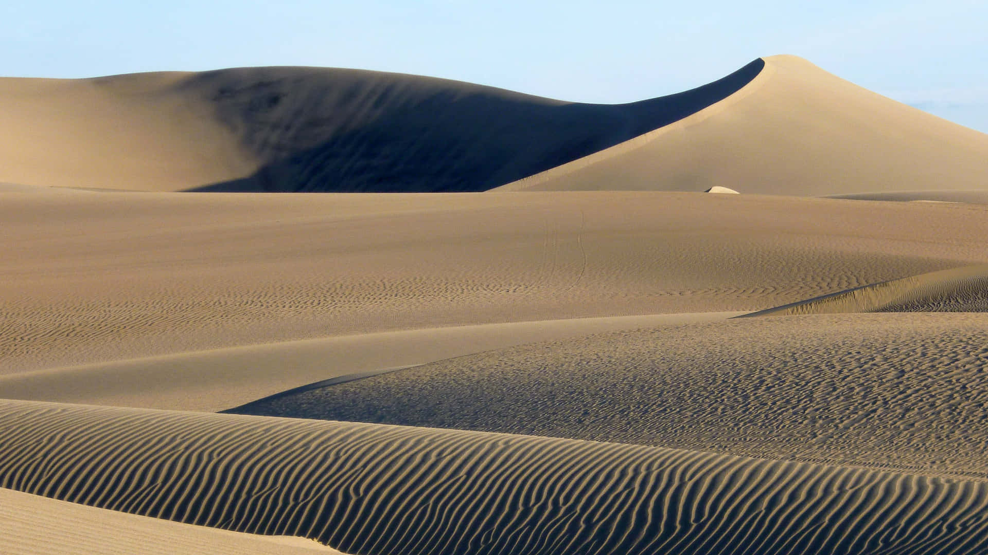 Explore the Imperial Desert on the Planet Arrakis
