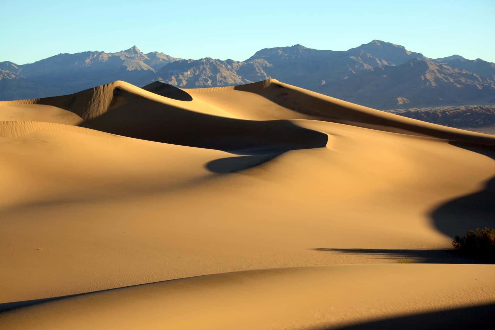 Gåin I Dune-världen.