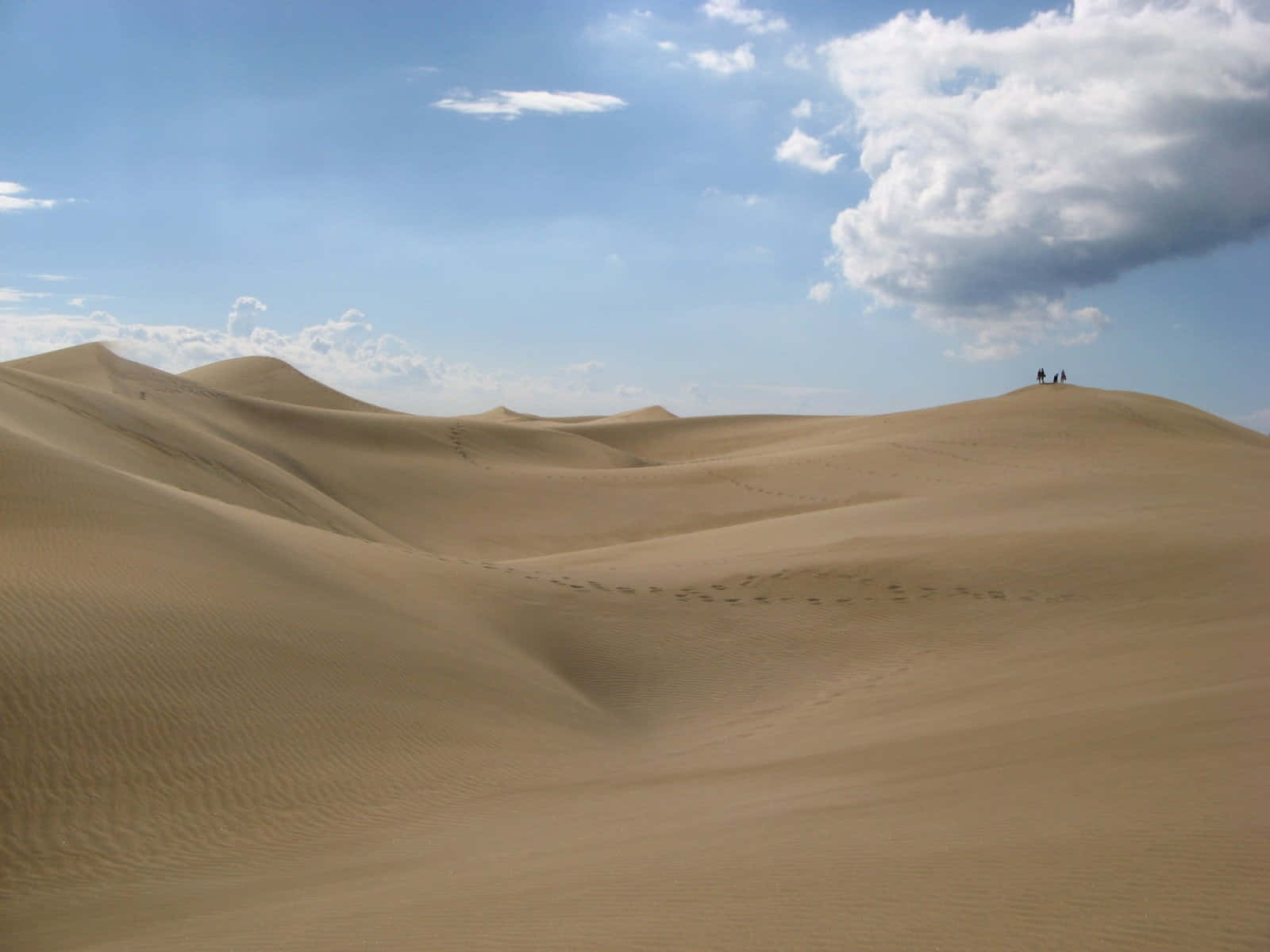 A Large Sand Dunes