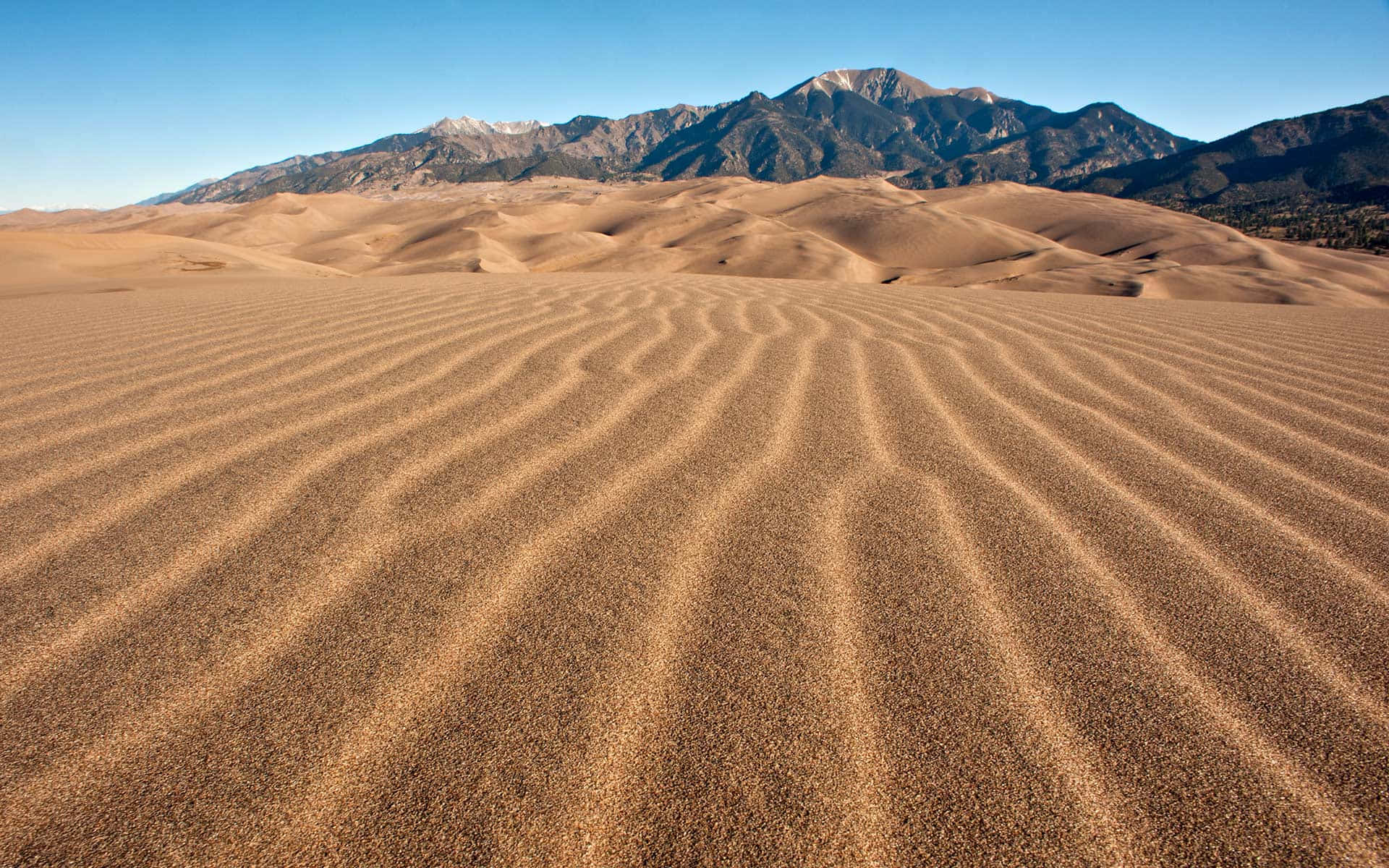 Einbeeindruckender Blick Auf Die Wüste Von Arrakis.