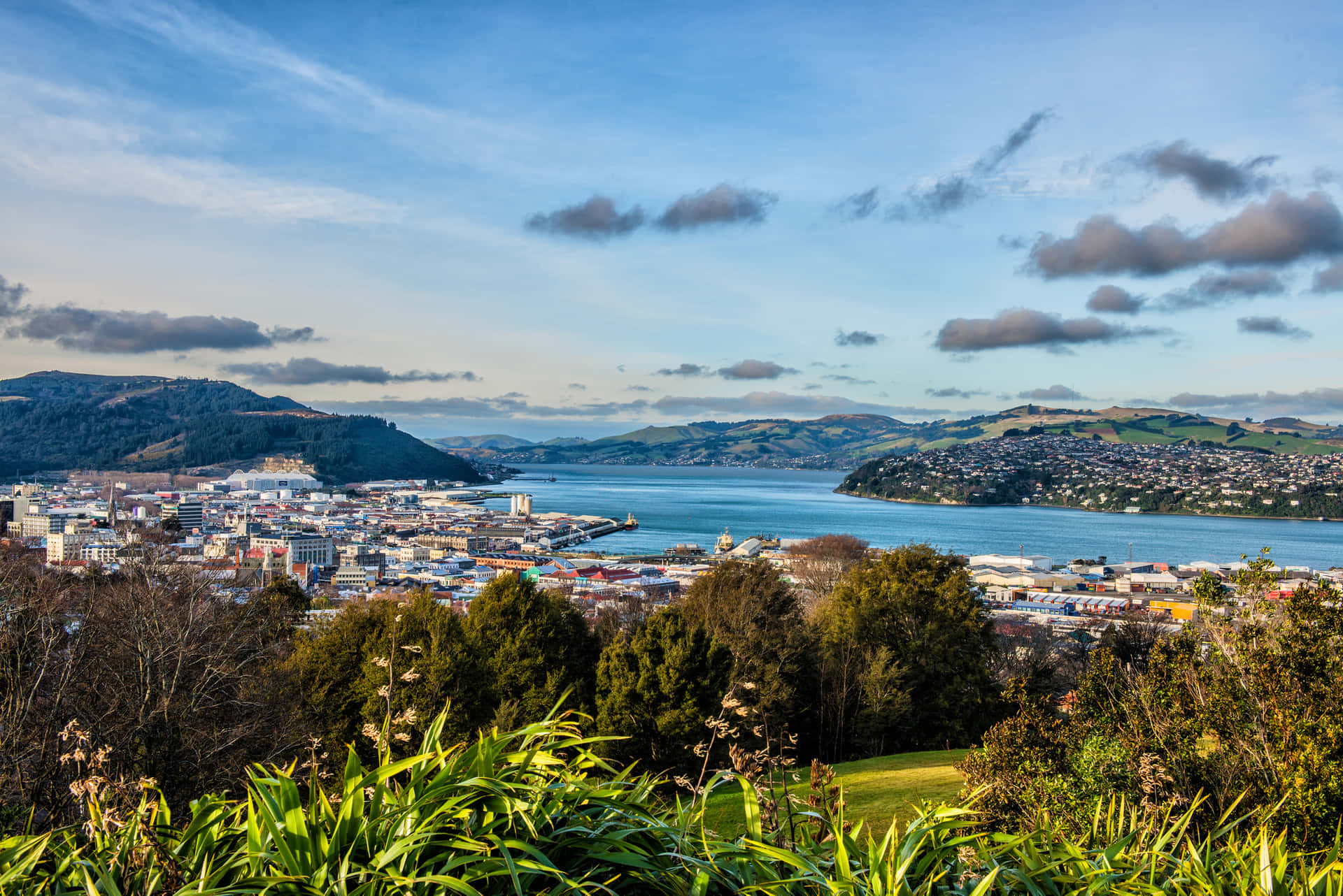 Dunedin Cityscapeand Harbor View New Zealand Wallpaper