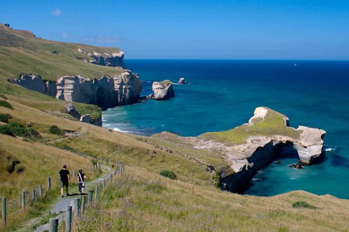 Dunedin Coastal Cliffsand Arches New Zealand Wallpaper