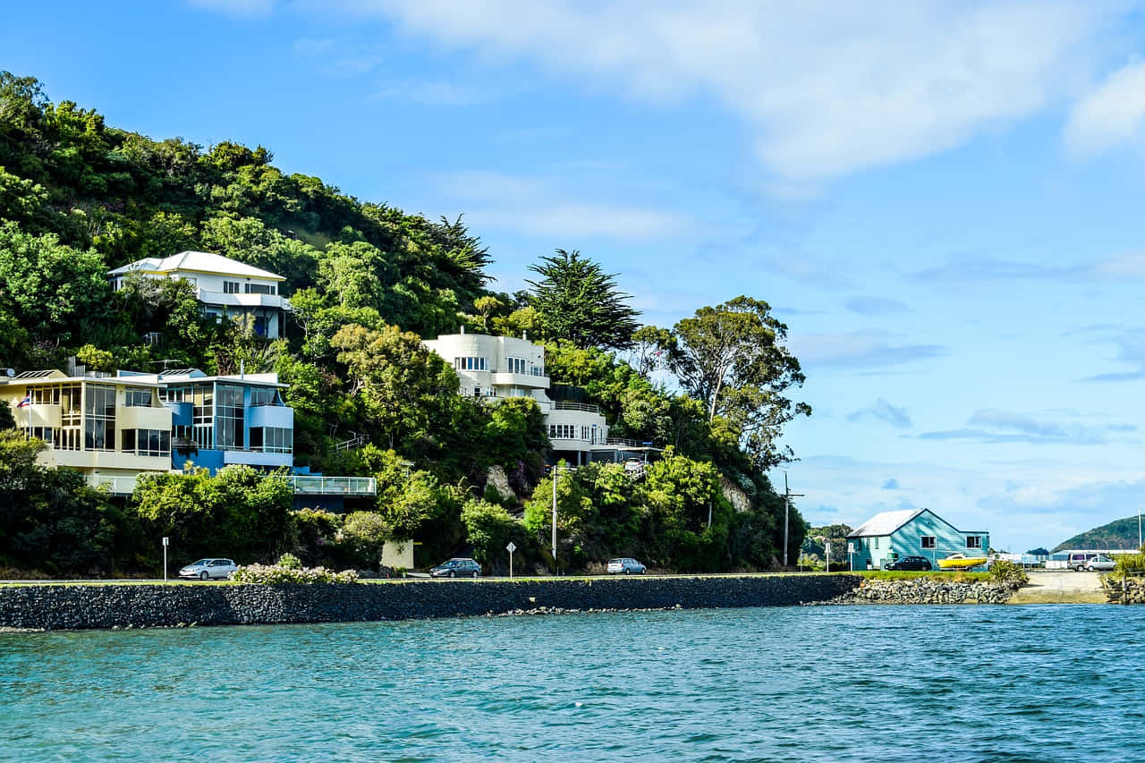 Dunedin Coastal Homes New Zealand Wallpaper