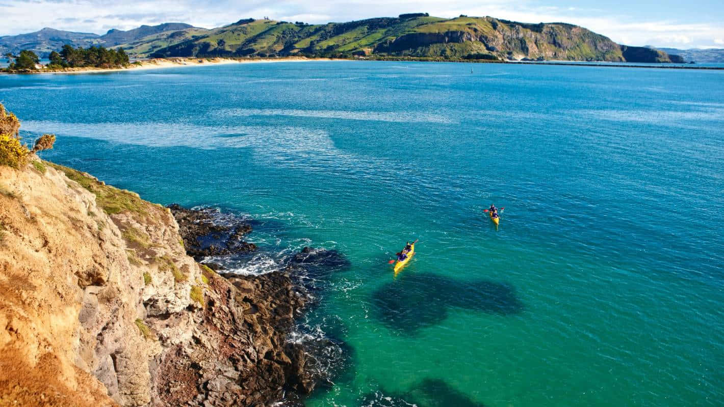 Dunedin Coastline Kayaking Adventure Wallpaper