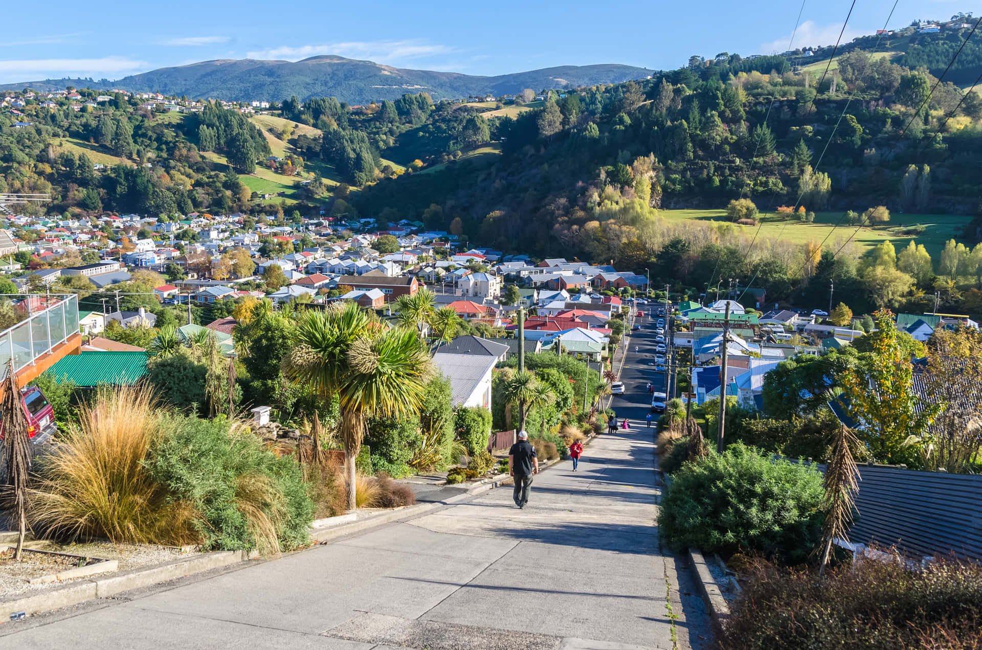 Dunedin New Zealand Steep Street View Wallpaper