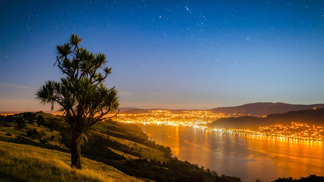 Dunedin Night Skyline New Zealand Wallpaper