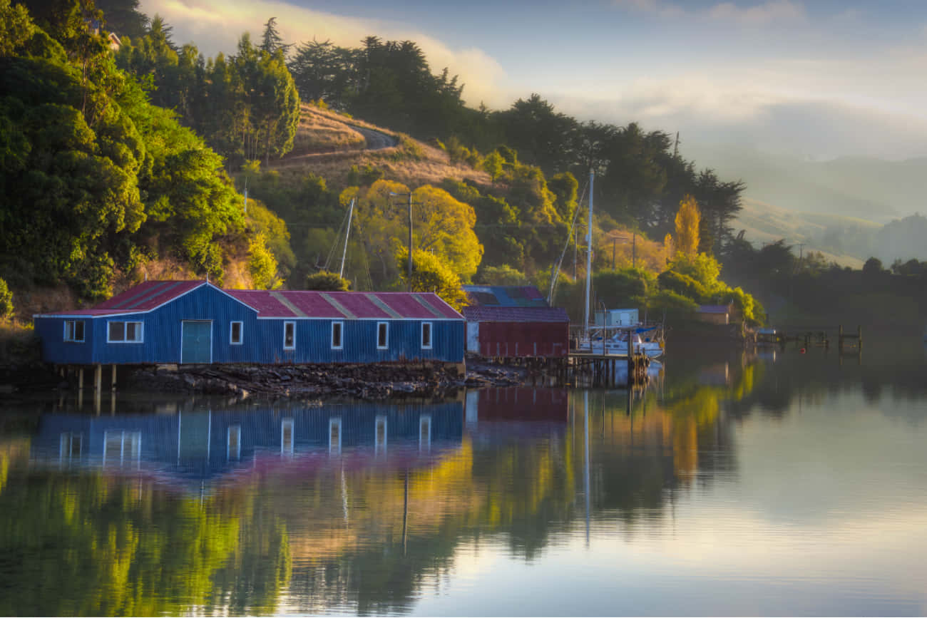 Dunedin Waterfront Boathousesat Dawn Wallpaper