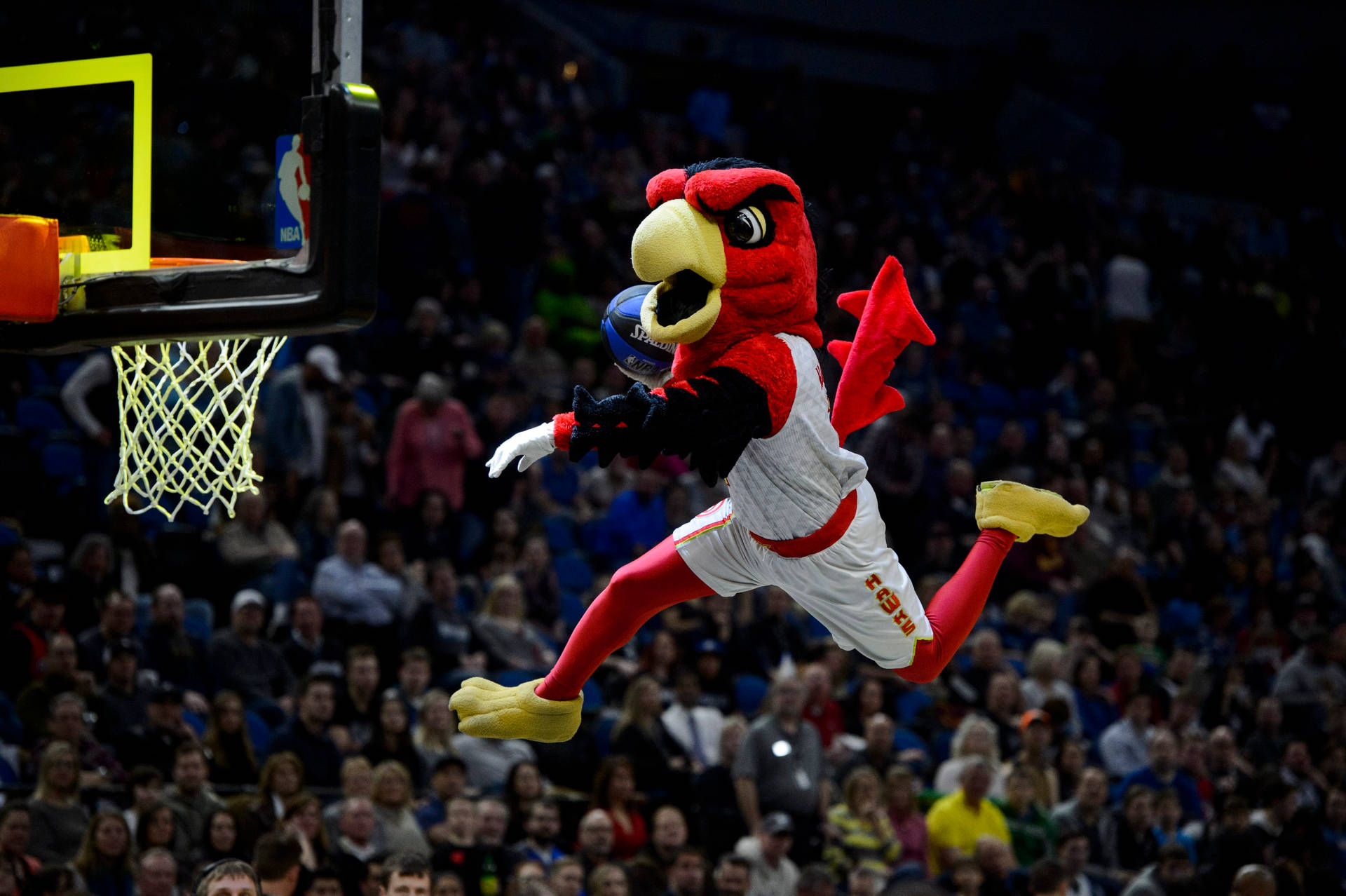 Dunking Atlanta Hawks Mascot Wallpaper