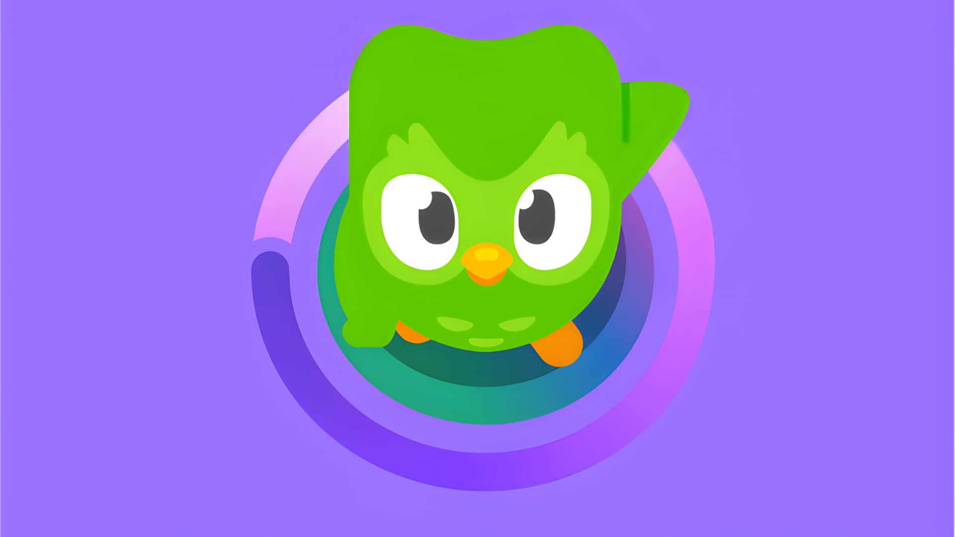Duolingo Owl Mascot Wallpaper