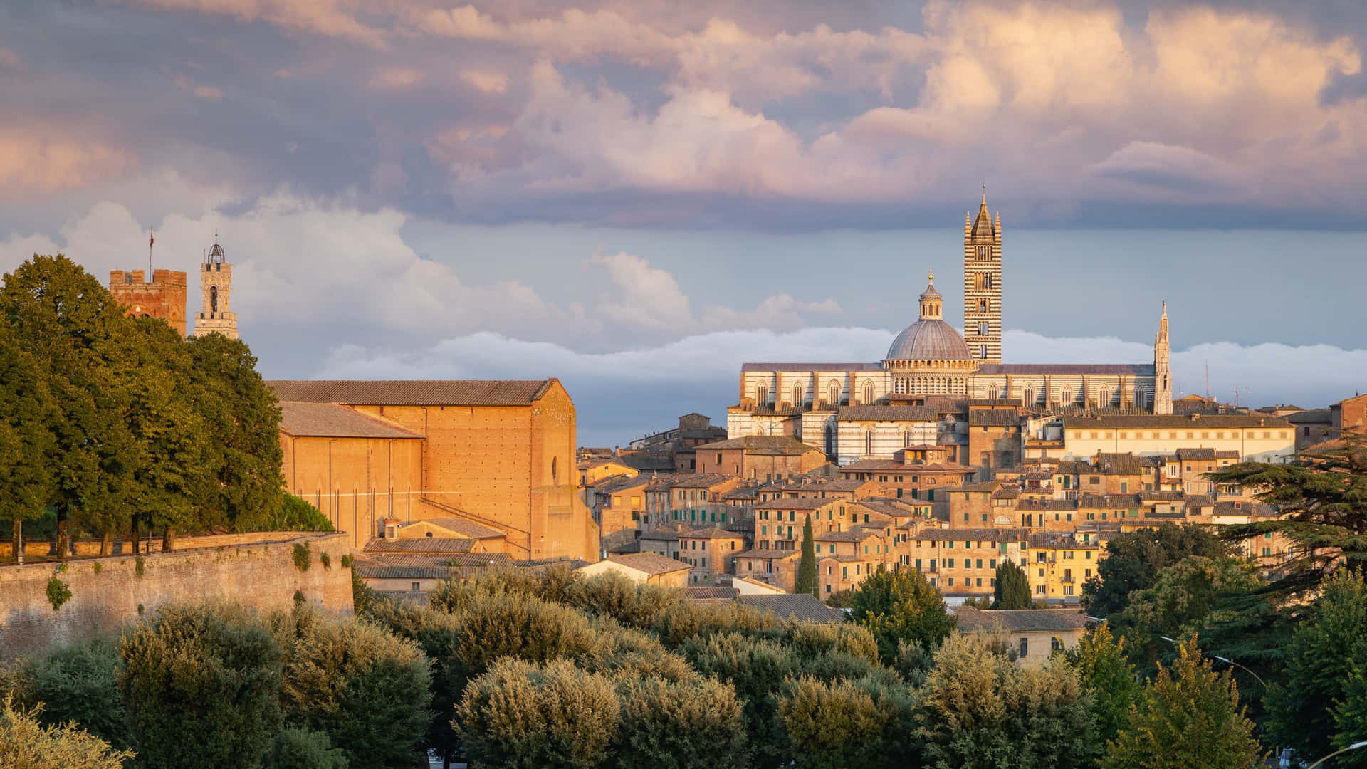 Duomo Di Siena Picturesque View Wallpaper