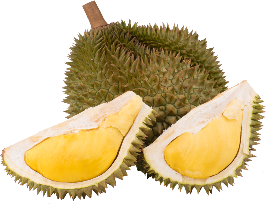 Durian Fruitand Slices.png PNG