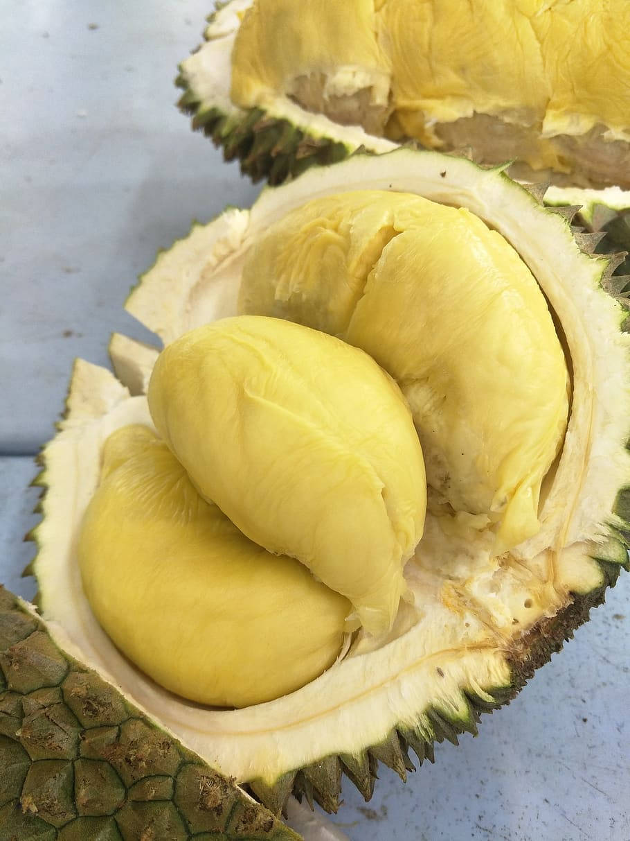 The Majestic Durian - King of all Fruits Wallpaper