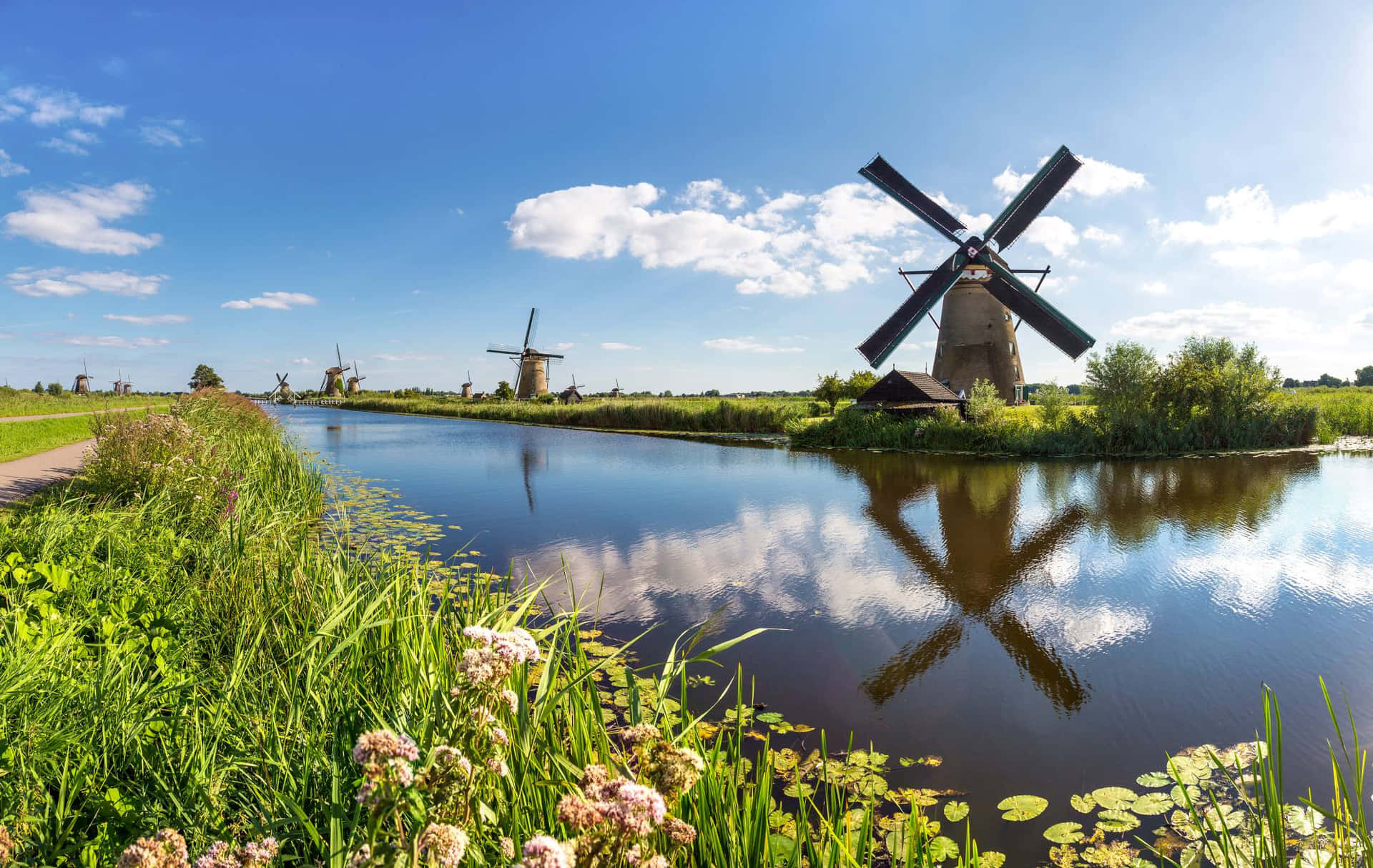 Dutch Windmills Reflection Dordrecht Wallpaper