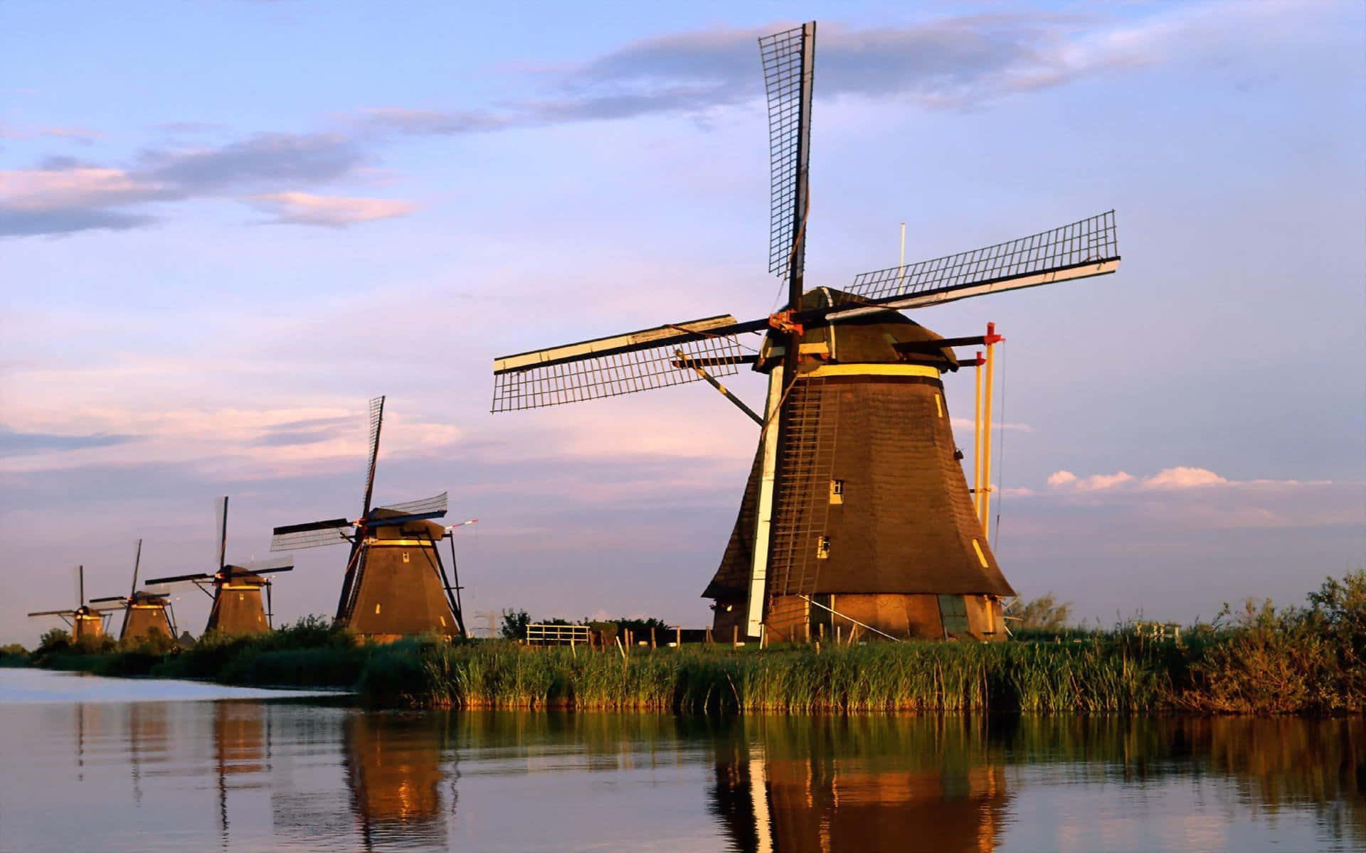 Nederlandse Windmolens Bij Zonsondergang Achtergrond