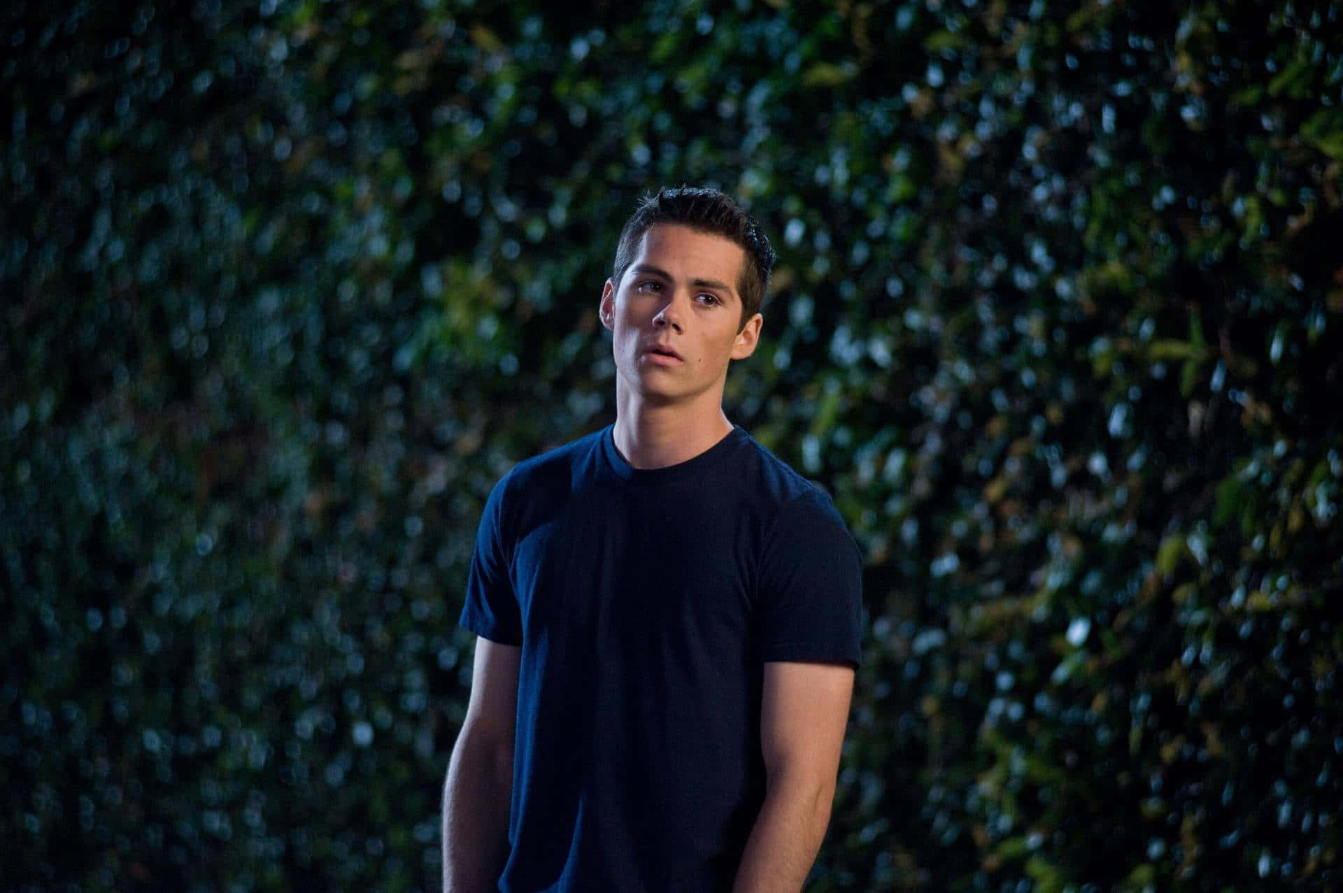 A Man In A Blue Shirt Standing In Front Of A Hedge Wallpaper