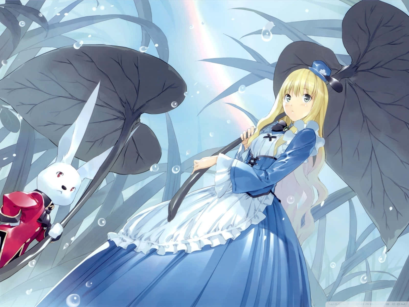 Dynamic Anime Alice In Wonderland Wallpaper