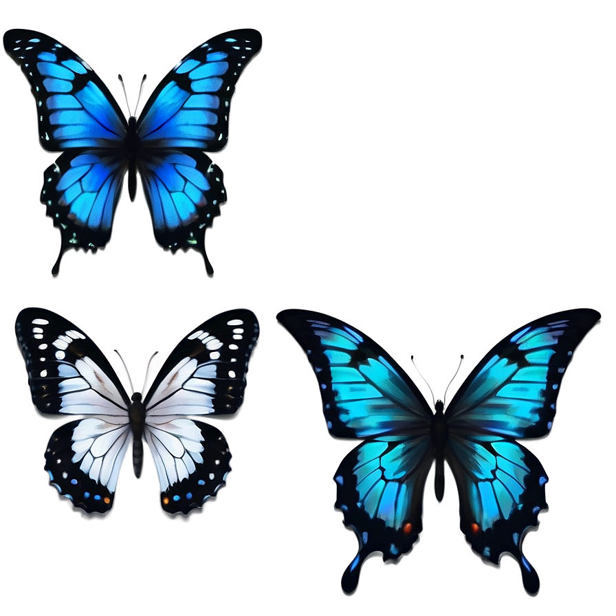 Dynamic Black Butterfly Png Drp70 PNG