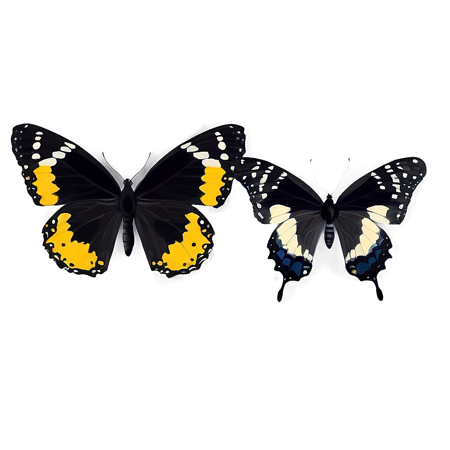 Dynamic Black Butterfly Png Xeo PNG