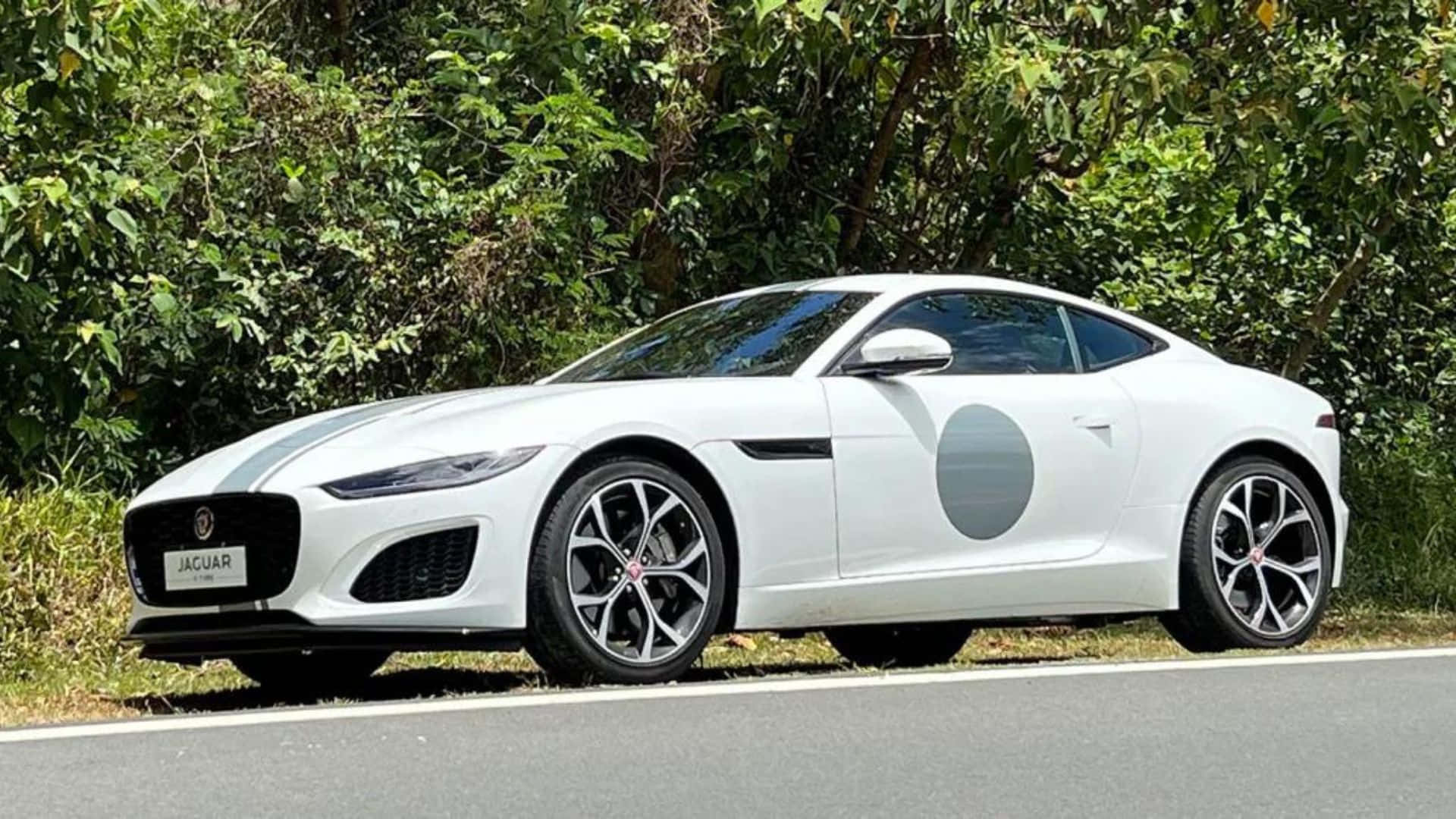 Dynamic Elegance - The Jaguar F-type In Its Element Wallpaper