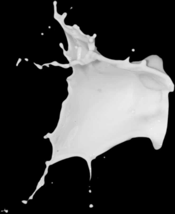 Dynamic Milk Splash Black Background SVG