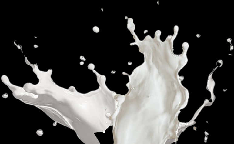 Dynamic Milk Splashon Black Background SVG