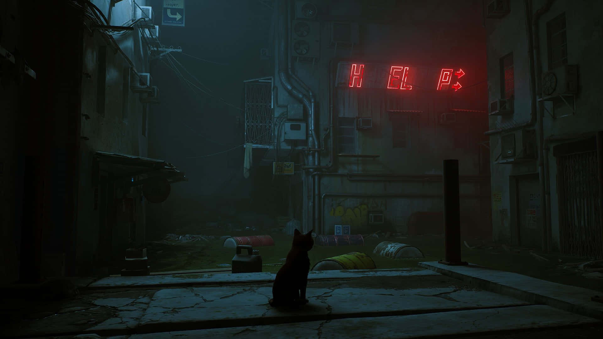 Dystopian Desolation_ Help Sign Cat.jpg Wallpaper