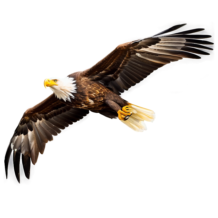 Eagle Bird Soaring Png Lxu5 PNG