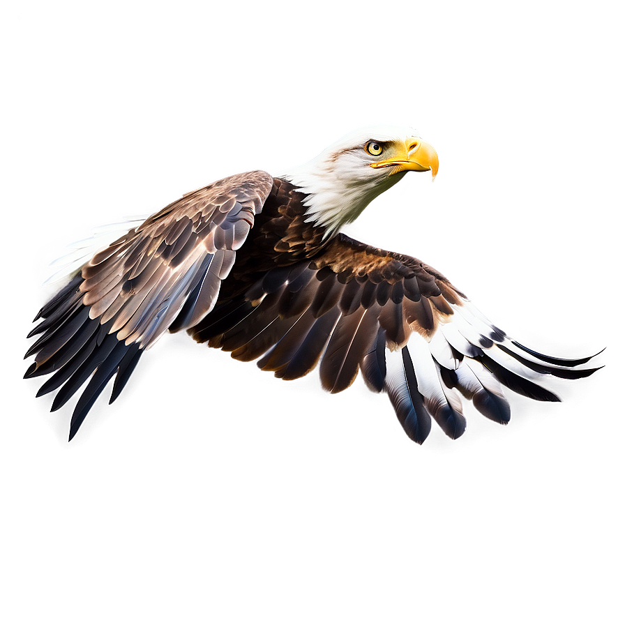 Eagle C PNG