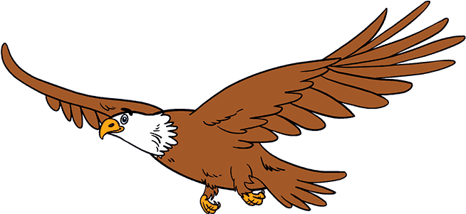 Eagle Cartoon In Flight PNG