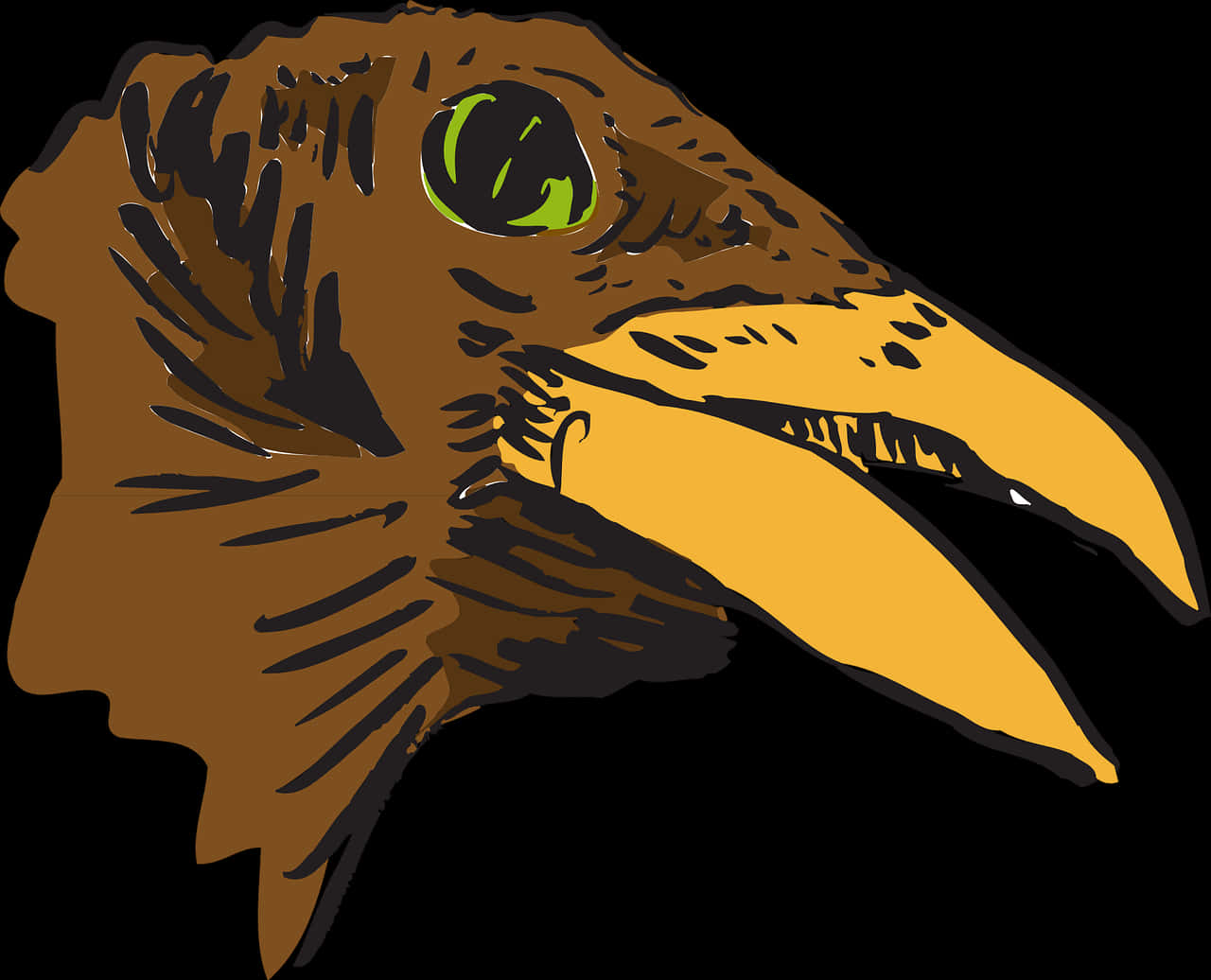 Eagle Head Illustration PNG