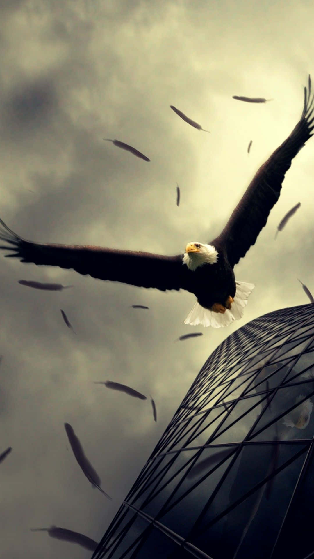 An Eagle Spreads Its Wings Across an IPhone's Screen Wallpaper