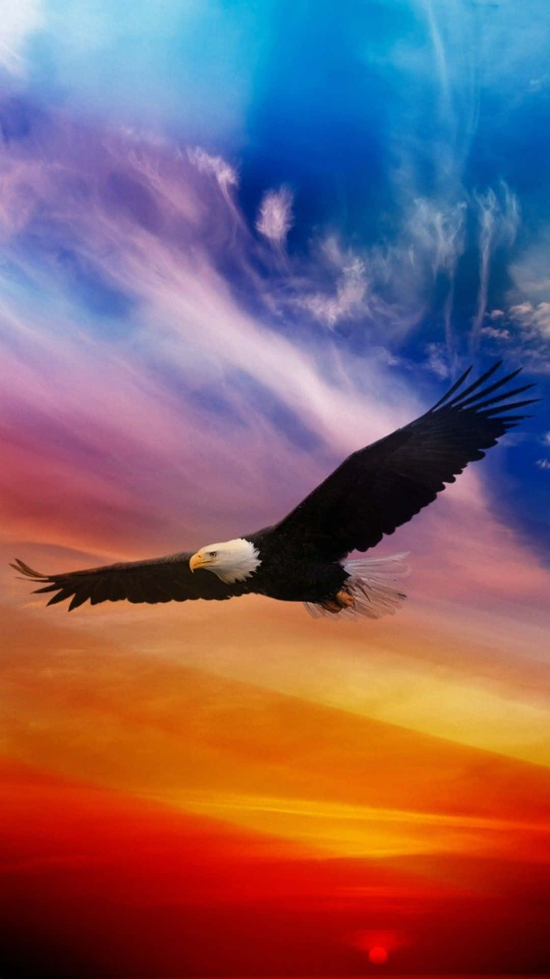 Unáguila Calva Volando En El Cielo Con Un Colorido Atardecer. Fondo de pantalla