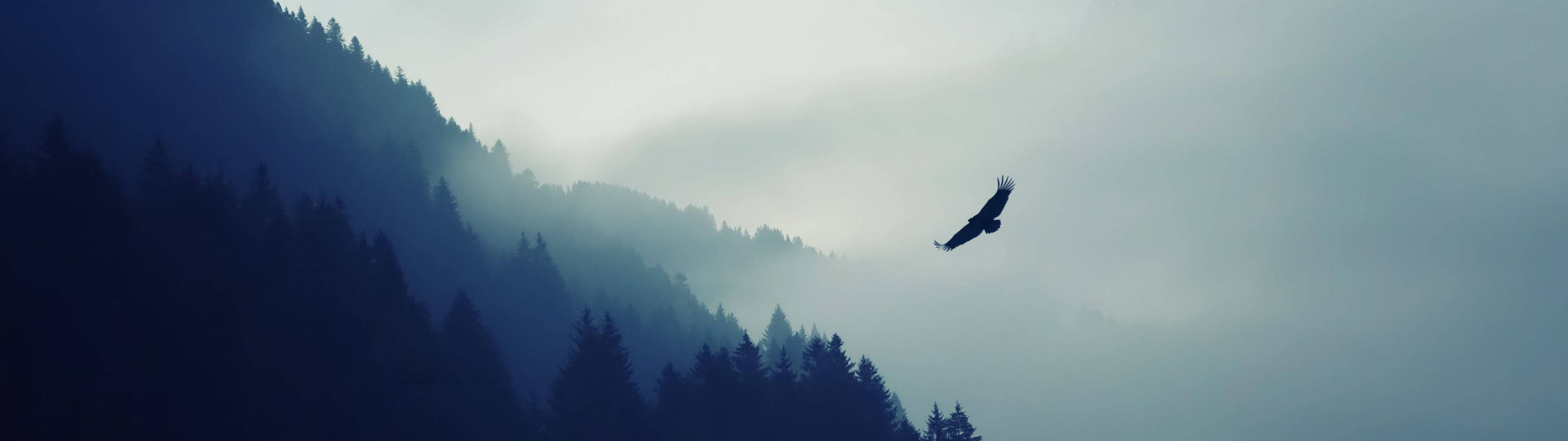 Image  View of Majestic Eagle Soaring Over Mountainside. Wallpaper